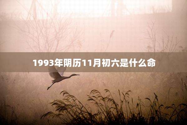 1993年阴历11月初六是什么命