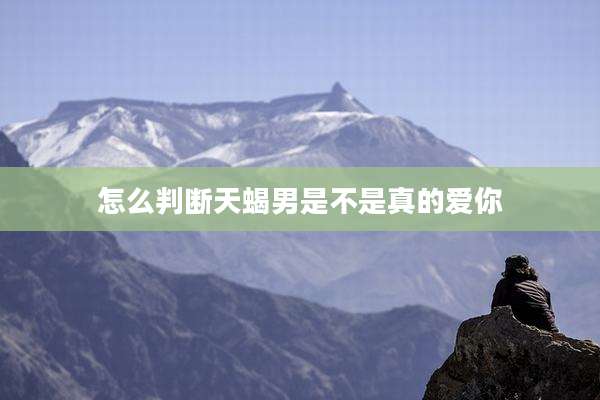 怎么判断天蝎男是不是真的爱你