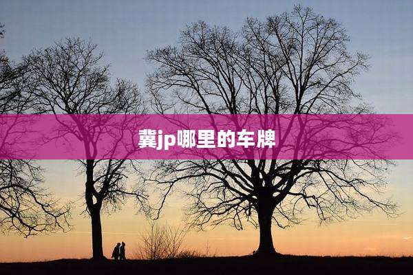 冀jp哪里的车牌