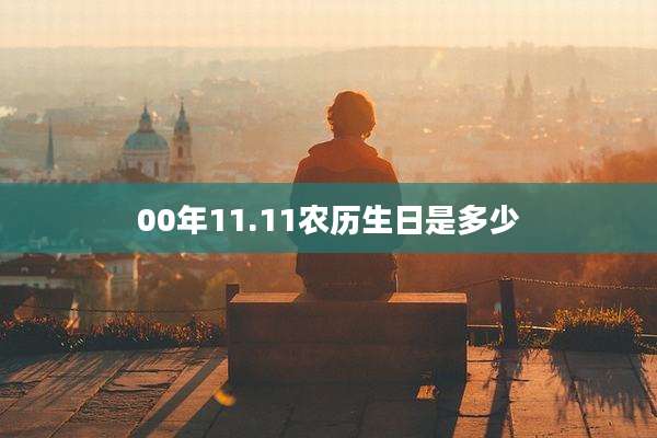00年11.11农历生日是多少