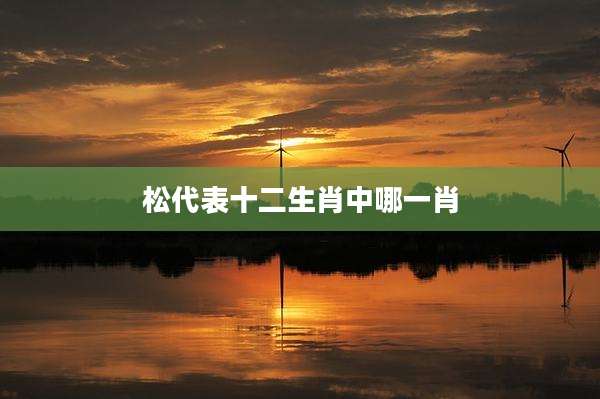 松代表十二生肖中哪一肖
