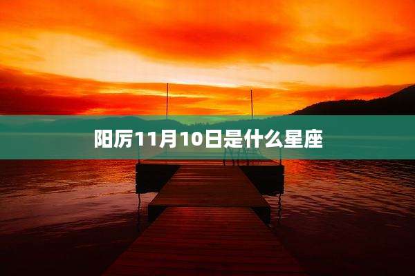 阳厉11月10日是什么星座