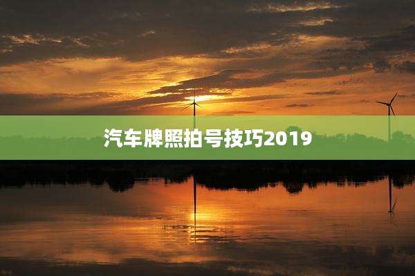 汽车牌照拍号技巧2019