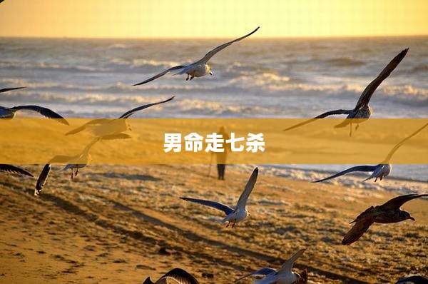 男命走七杀