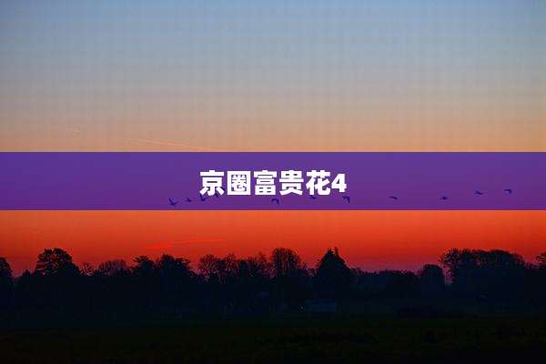 京圈富贵花4