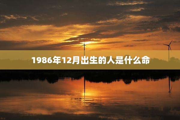 1986年12月出生的人是什么命