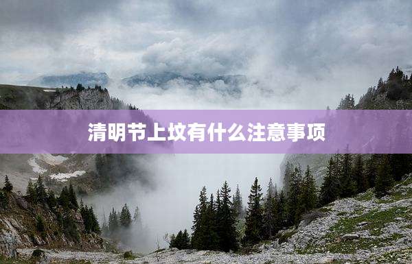 清明节上坟有什么注意事项