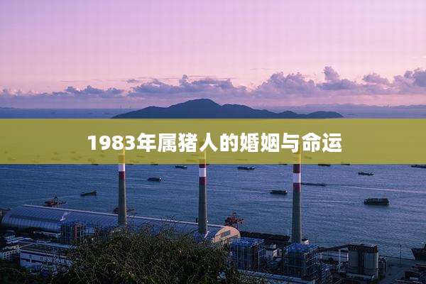 1983年属猪人的婚姻与命运