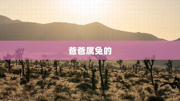 爸爸属兔的