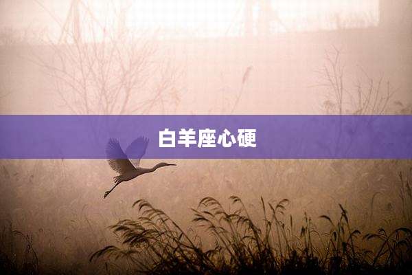 白羊座心硬