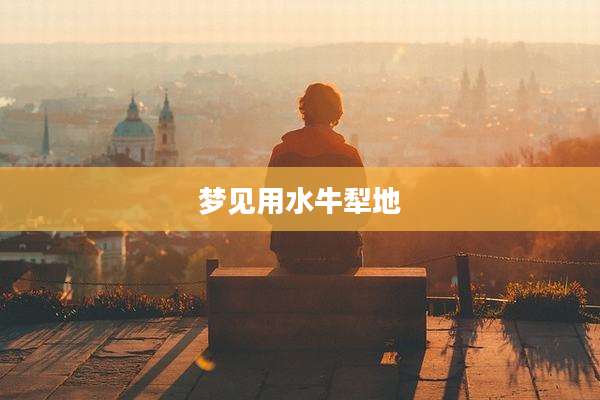 梦见用水牛犁地