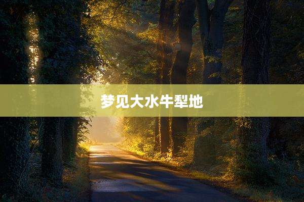 梦见大水牛犁地
