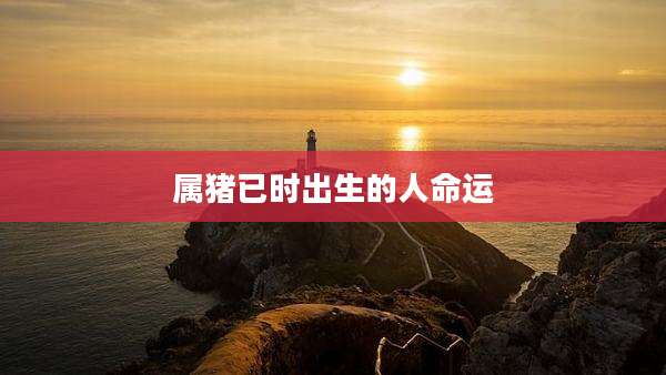 属猪已时出生的人命运