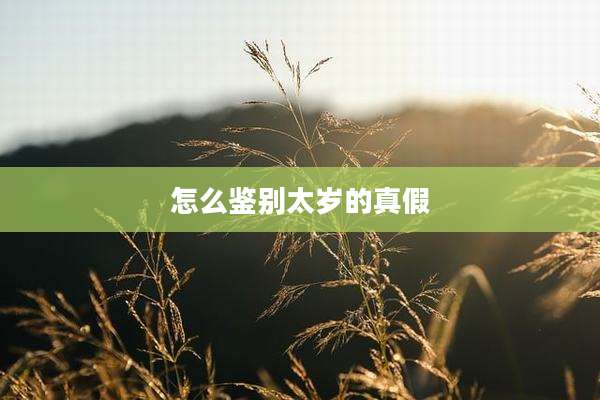 怎么鉴别太岁的真假