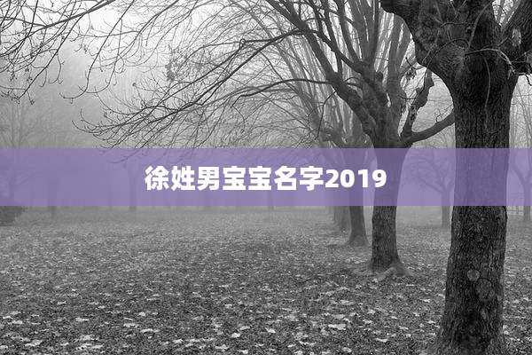 徐姓男宝宝名字2019