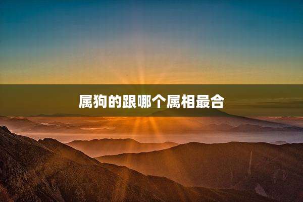 属狗的跟哪个属相最合