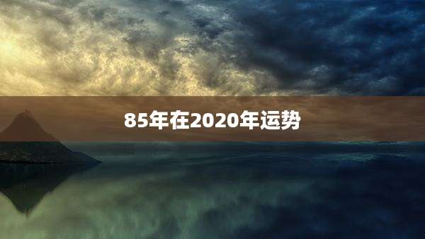 85年在2020年运势