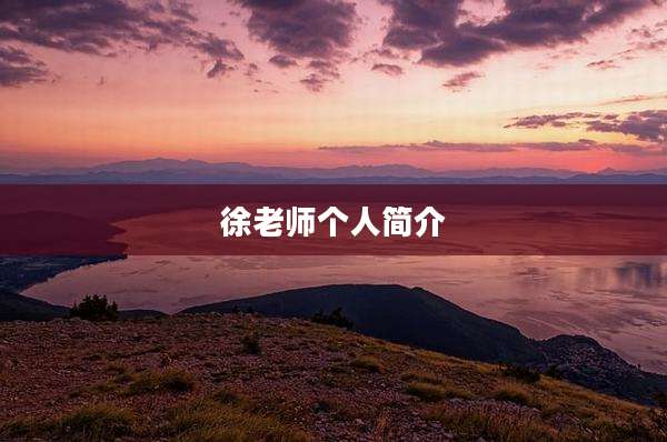徐老师个人简介