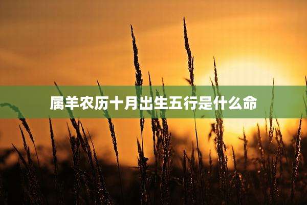 属羊农历十月出生五行是什么命