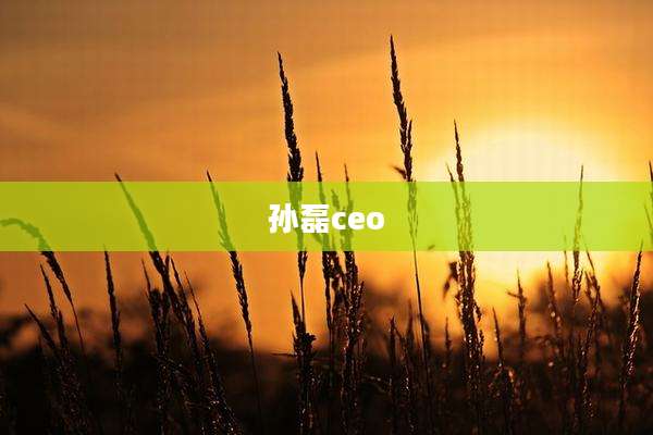 孙磊ceo