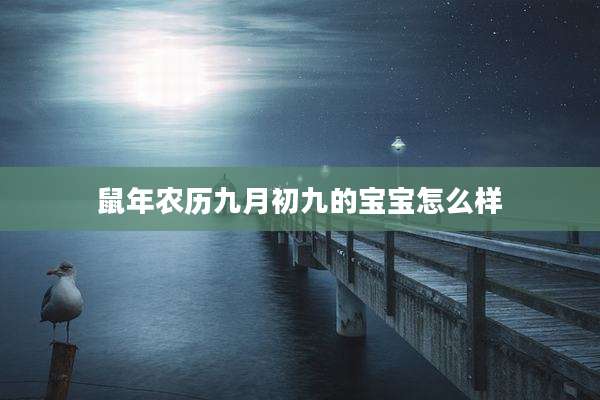 鼠年农历九月初九的宝宝怎么样
