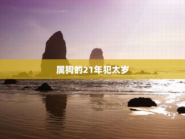 属狗的21年犯太岁