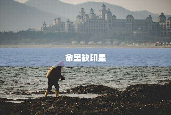 命里缺印星