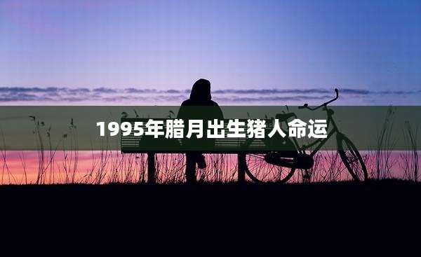 1995年腊月出生猪人命运