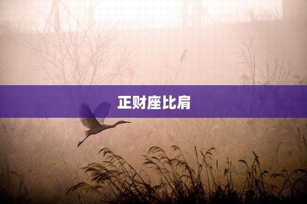 正财座比肩