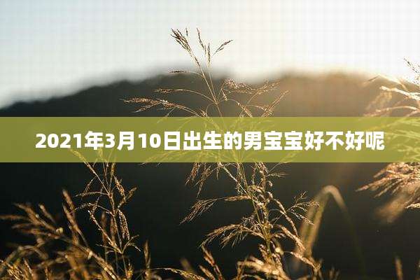 2021年3月10日出生的男宝宝好不好呢