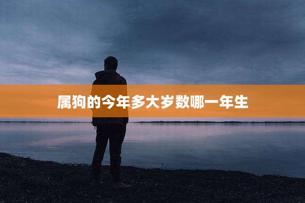 属狗的今年多大岁数哪一年生