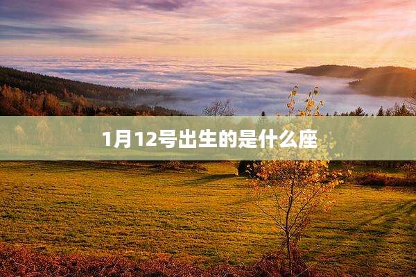 1月12号出生的是什么座