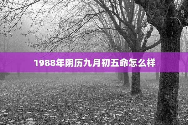 1988年阴历九月初五命怎么样