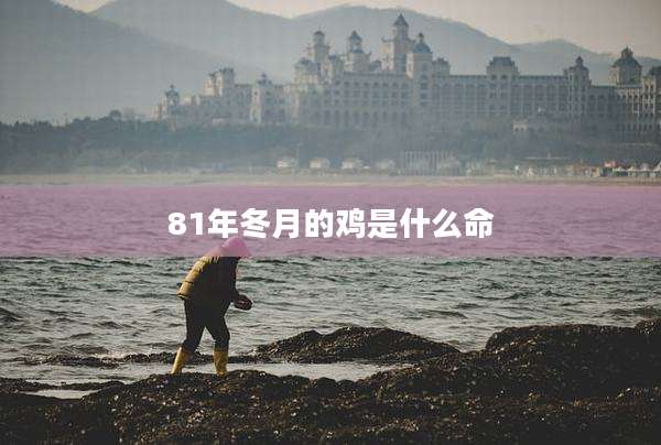 81年冬月的鸡是什么命