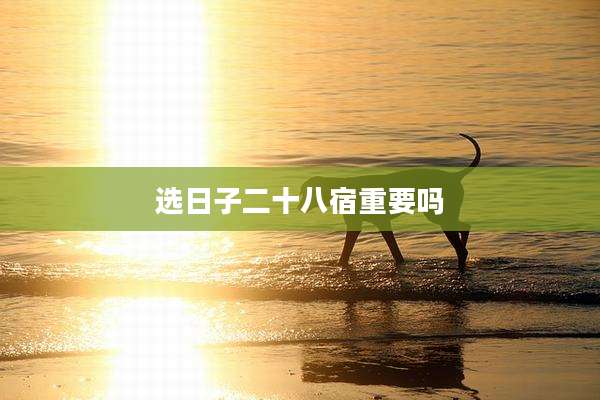 选日子二十八宿重要吗