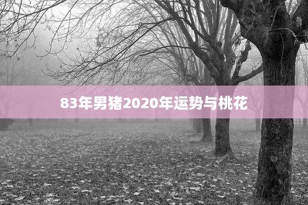 83年男猪2020年运势与桃花