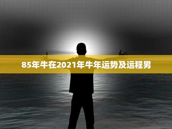 85年牛在2021年牛年运势及运程男
