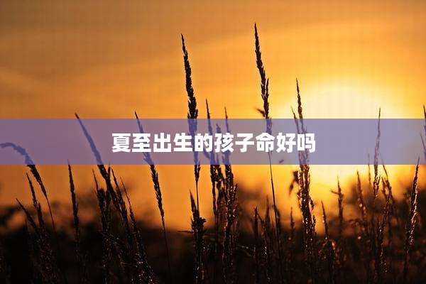 夏至出生的孩子命好吗