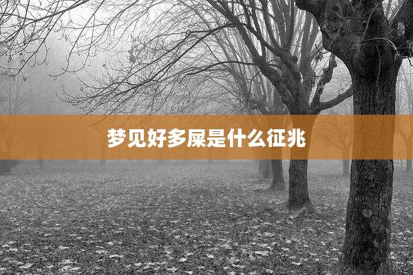 梦见好多屎是什么征兆