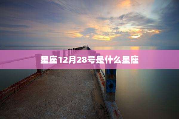 星座12月28号是什么星座