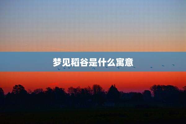 梦见稻谷是什么寓意