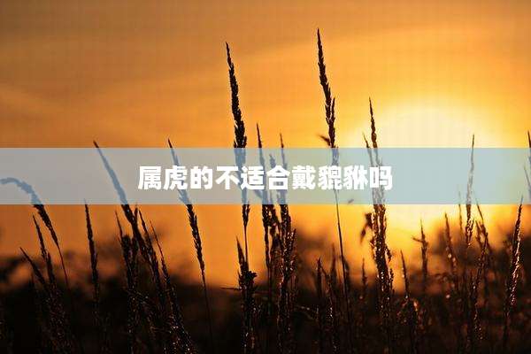 属虎的不适合戴貔貅吗