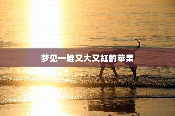 梦见一堆又大又红的苹果