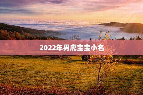 2022年男虎宝宝小名