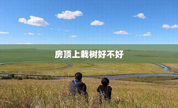 房顶上栽树好不好