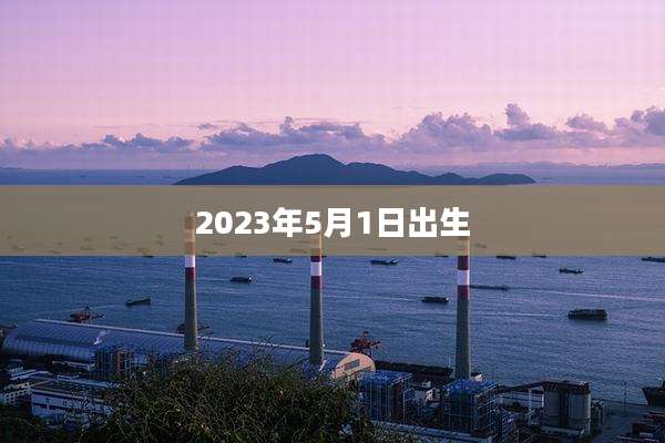 2023年5月1日出生