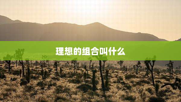 理想的组合叫什么