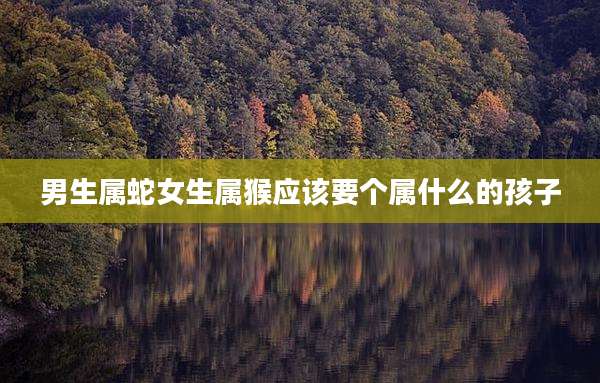 男生属蛇女生属猴应该要个属什么的孩子