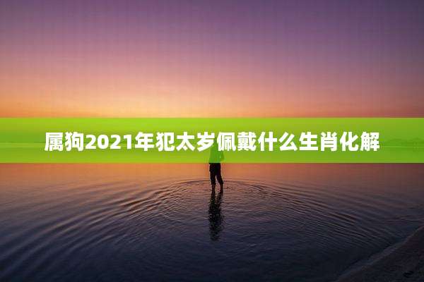 属狗2021年犯太岁佩戴什么生肖化解