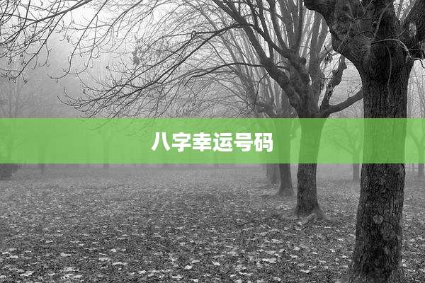 八字幸运号码
